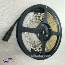 outdoor decorative IP68 12V flexible 5 meter led strip